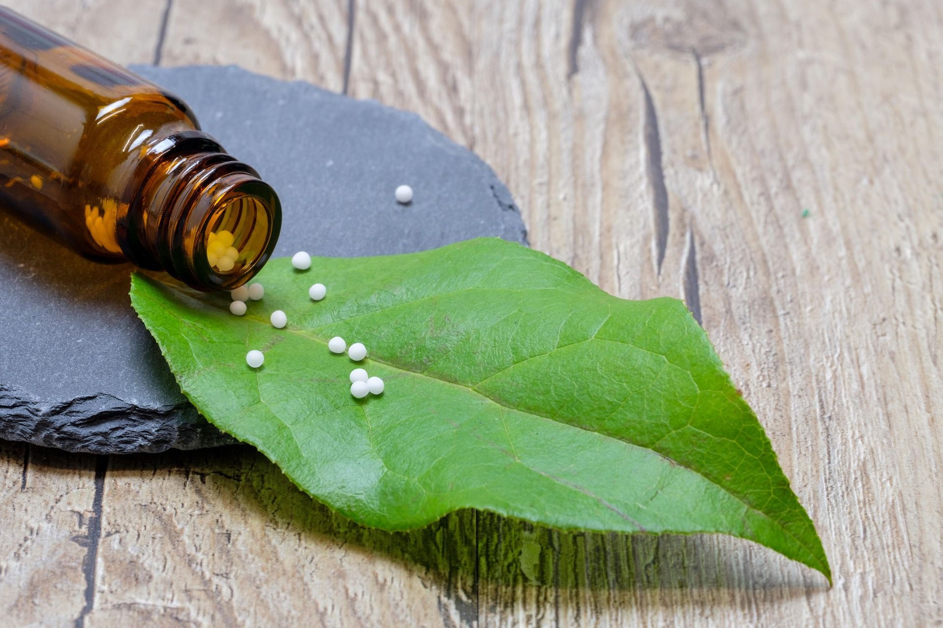 homeopatie homeopatie