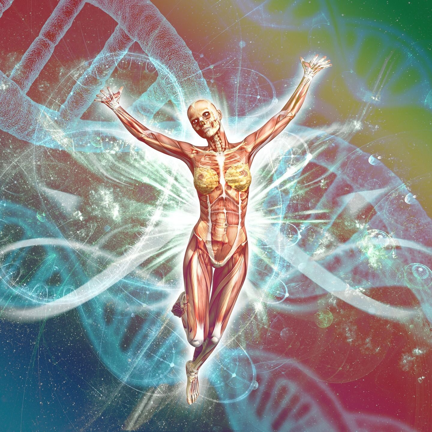 human-3144300_1920 human-3144300_1920